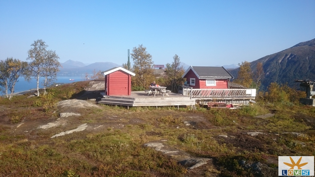 Flott pausested