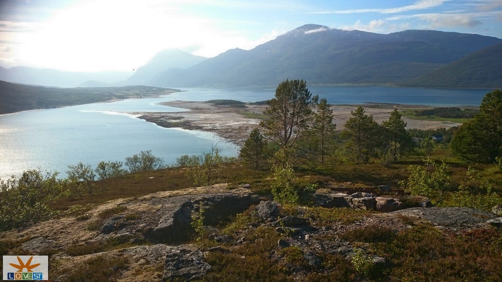 Nærforsvar