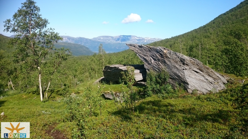 Naturkunst ved stien