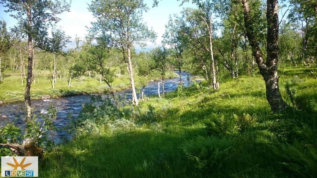 Dudalselva