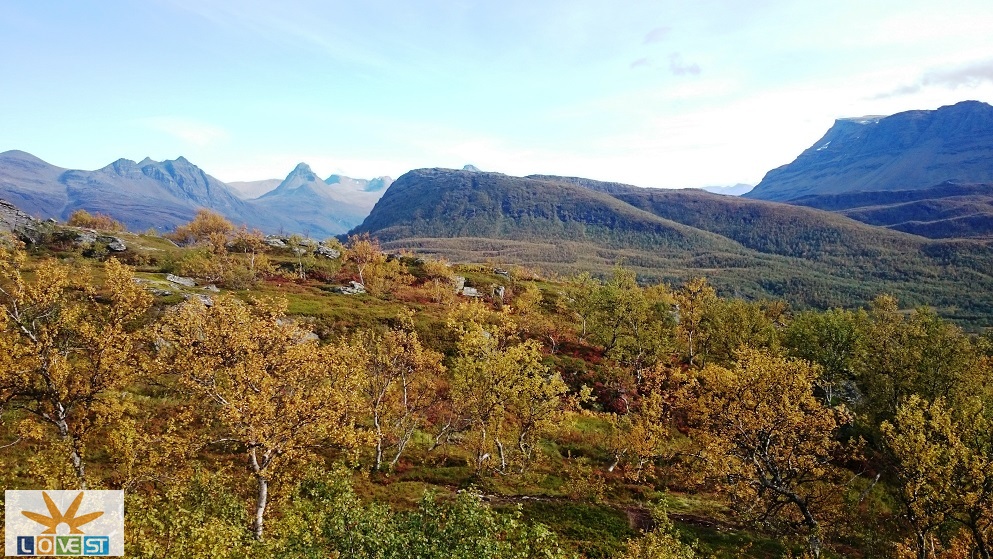 Høst