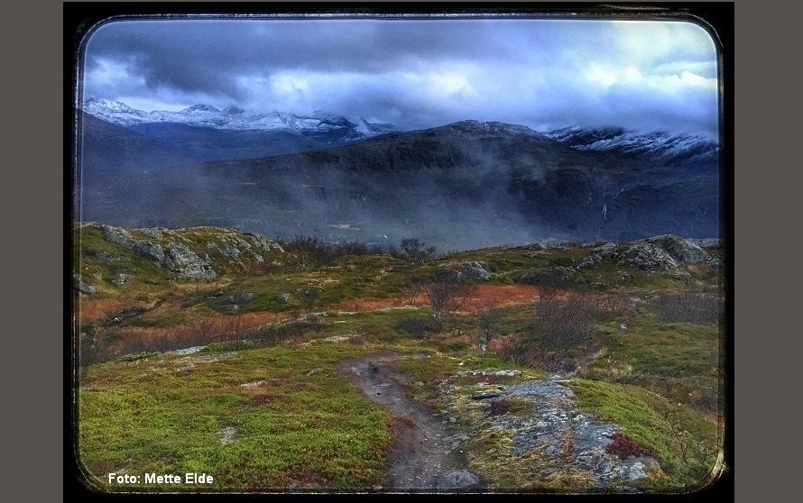 Høstfarger