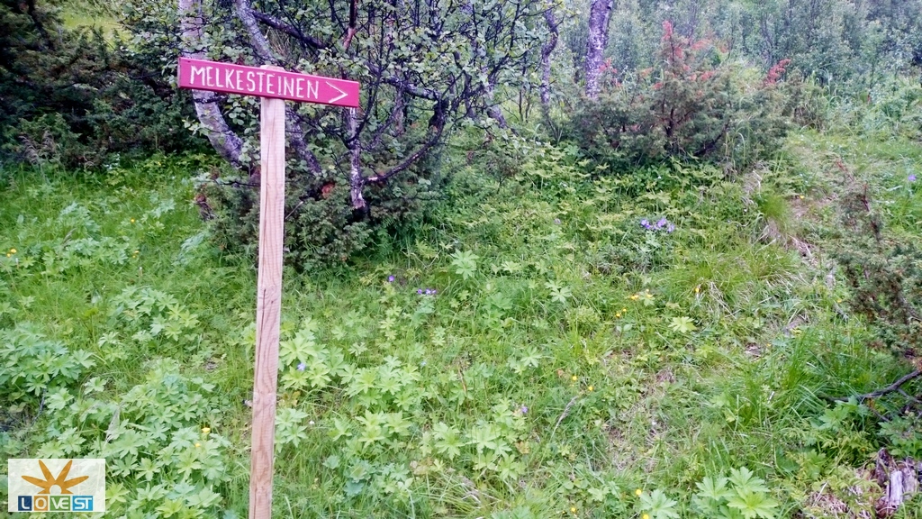 Melkesteinen