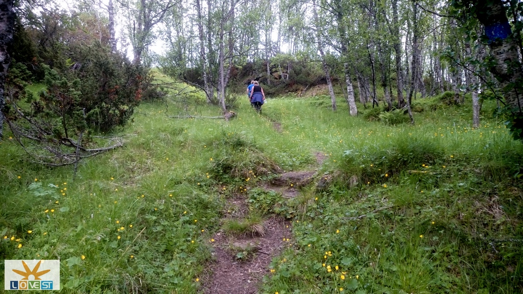 Stigning